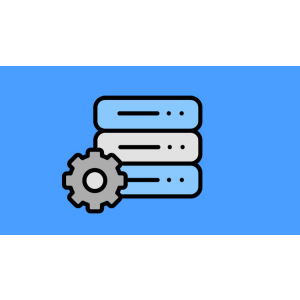 Database Developer (MSSQL, SSRS, & SSIS) 2023-8