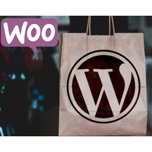 eCommerce کے ساتھ ویب سائٹ بنائیں WordPress WooCommerce کے مترادفات 2025-9