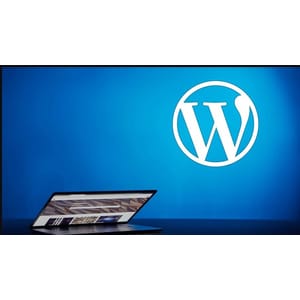 WordPress for Beginners 2020-8