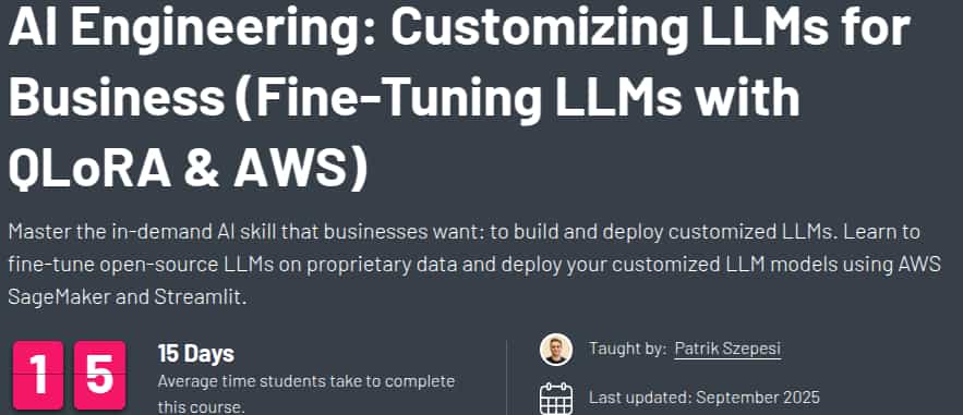 Pictures · ZeroToMastery — AI Engineering: Customizing LLMs for Business (Fine-Tuning LLMs with QLoRA & AWS) 2025-9