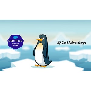 Udemy — Salesforce Business Analyst Exam Dump Walkthrough 2024-8