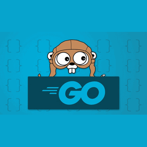 Academind - Comenzando con Golang 2024-11
