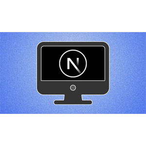 Next.js by Example 2024-3