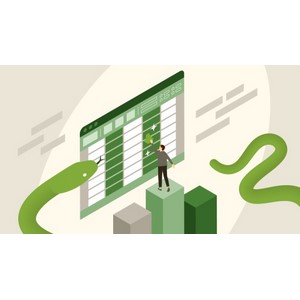 LinkedIn — Data Cleaning and Manipulating with Python in Excel 2024-10