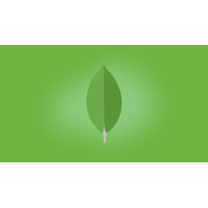 AmigosCode – MongoDB 2022-9
