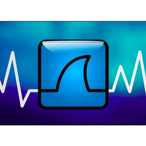 Wireshark zertifizierte Analyst WCA-101 2026-7