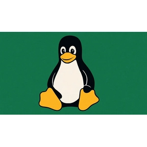CompTIA Linux+ 认证课程 XK0-005 2025-4