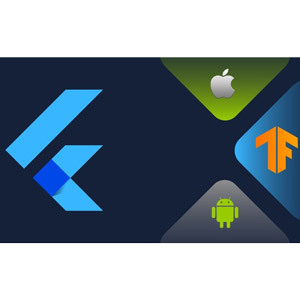 Flutter & ML : Train Tensorflow Lite models for Flutter Apps 2024-9