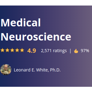 Coursera — Medical Neuroscience 2023-3
