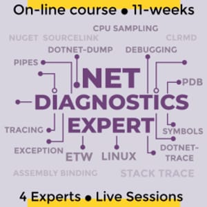 Diagnostics Expert — .NET Diagnostics Expert 2025-6