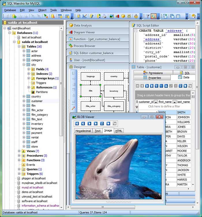 Изображения · SQL Мастер для мышления 25.3.0.1