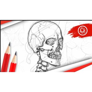 Anatomy Art School: The Complete Skeletal Drawing Course 2025-4