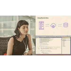 Working with Local and Remote Data in .NET MAUI Apps 2024-10
