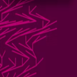 Coursera — Analytic Combinatorics 2022-12