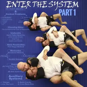 Back Attacks Enter The System by John Danaher