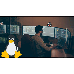 Udemy — Linux Essentials for IT Professionals 2023-12