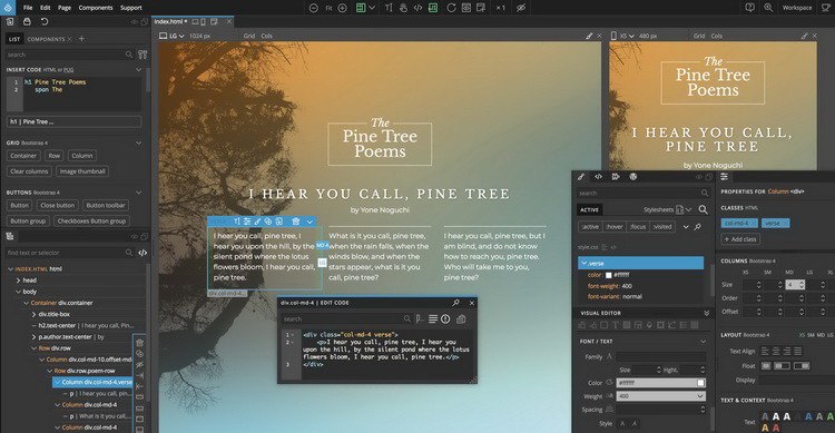 Pictures · Pinegrow Web Editor Pro 6.5