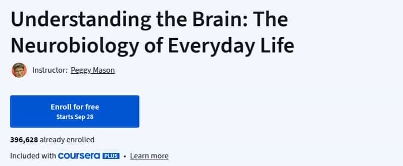 Pictures · Understanding the Brain: The Neurobiology of Everyday Life 2025-9