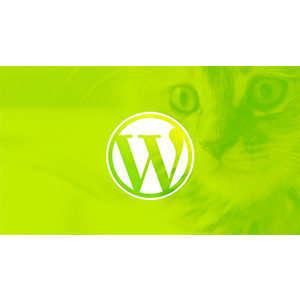 WordPress pour les débutants : créer un site web étape par étape 2025-5