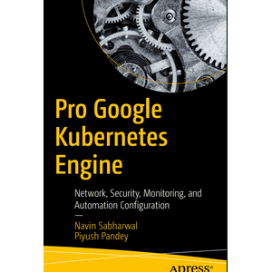 トップ > プロ > Google Kubernetes エンジン 2020