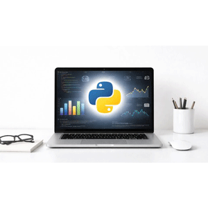 Python Bootcamp From Zero to Hero. 2026-5