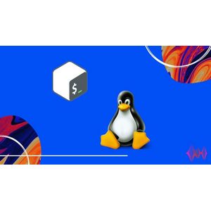 Udemy — Bash / Shell | 100 Hands On Challenge with 10 Live Projects 2024-9