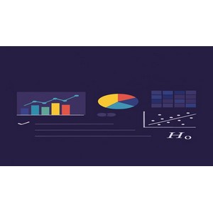 Udemy — Statistics for Data Science: Solve Real World Data Problems. 2025-4