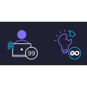 Образование -99 In Go: Accelerate Your Coding Interview Преп 2024-9