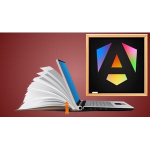هذا الزاوية 19-22 المواد MD3 - دليل مفقود 2025-4