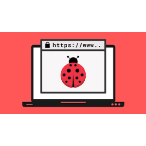 Udemy — Learn Bug Bounty Hunting & Web Security Testing From Scratch 2025-1