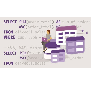 SQL for Non-Programmers 2024-1