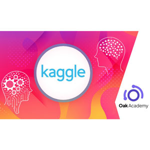 Udemy — Kaggle Master with Heart Attack Prediction Kaggle Project 2023-8