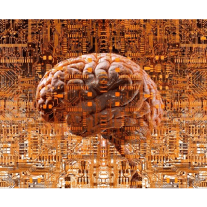 Coursera — Introduction to Deep Learning & Neural Networks with Keras 2023-8