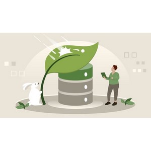 LinkedIn — Data Resilience with Spring and RabbitMQ Event Streaming 2024-9
