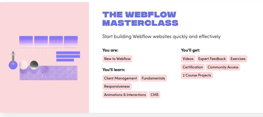 Pictures · Flux Academy – The Webflow Masterclass 4.0 Pro 2023-11