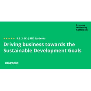 Driving business towards the Sustainable Development Goals 2026-2