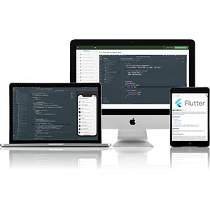 Reso Coder – Flutter Developer Bootcamp 2022-12