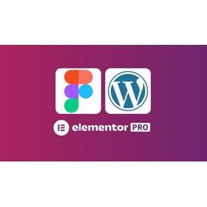 Custom Web Design : Figma to WordPress with Elementor Pro 2025-7