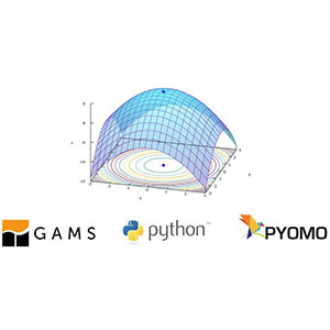 Udemy — Mathematical Optimization with GAMS and Pyomo (Python) 2021-6