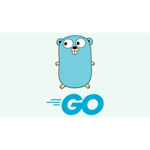 Udemy — Build a good structure with golang (go, gin, mysql, gorm) 2024-5