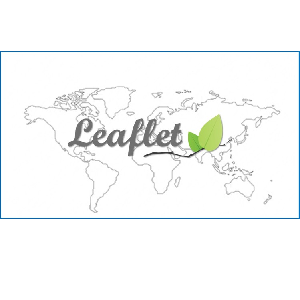 Udemy — Leaflet for Beginners 2024-6