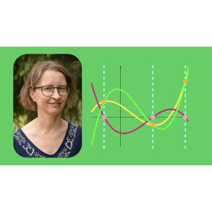 Udemy — Precalculus 2: Polynomials and rational functions 2024-10