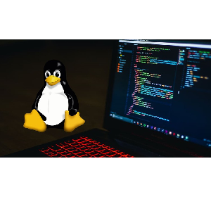 Udemy — Complete Linux Bash Shell Scripting with Real Life Examples 2022-11