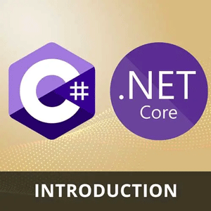 C# and .NET Basics 2024-11