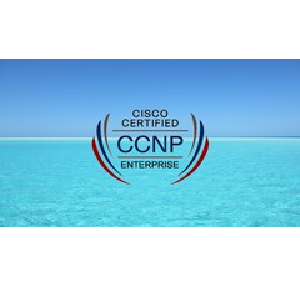 Udemy — CCNP Enterprise: ENARSI 300-410 Training Part-1/2 2023-8