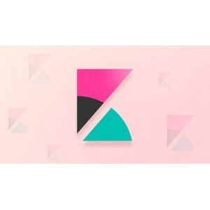 Data Visualization with Kibana 2020-12