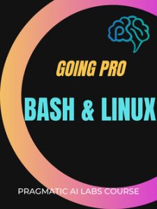 Oreilly – Linux and Bash: Going Pro 2024-5