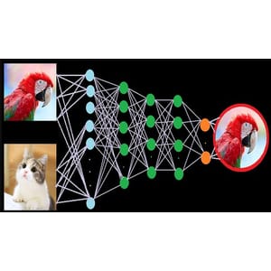 A deep dive in deep learning ocean with Pytorch & TensorFlow 2024-5