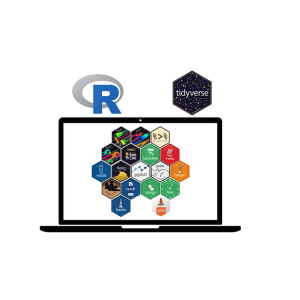 Data science with R: tidyverse 2021-8