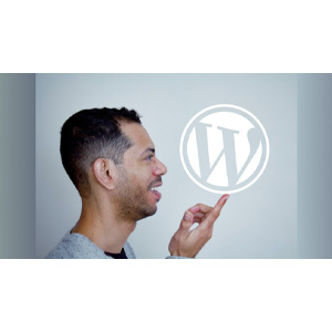 WordPress Scratch से विषय विकास 2.0 2025-8